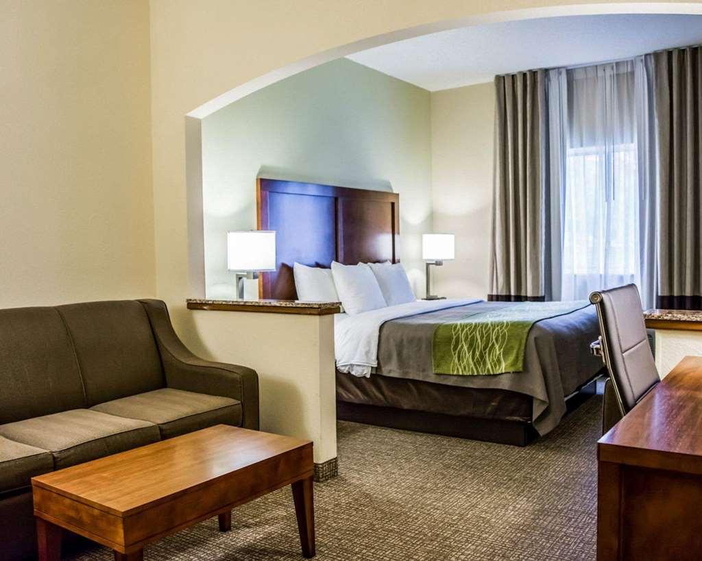 Comfort Inn Fort Myers Northeast Ruang foto