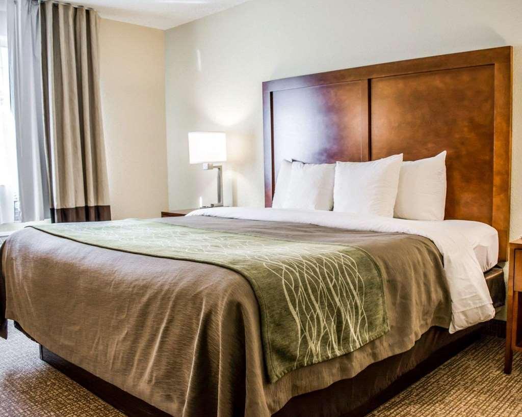 Comfort Inn Fort Myers Northeast Ruang foto