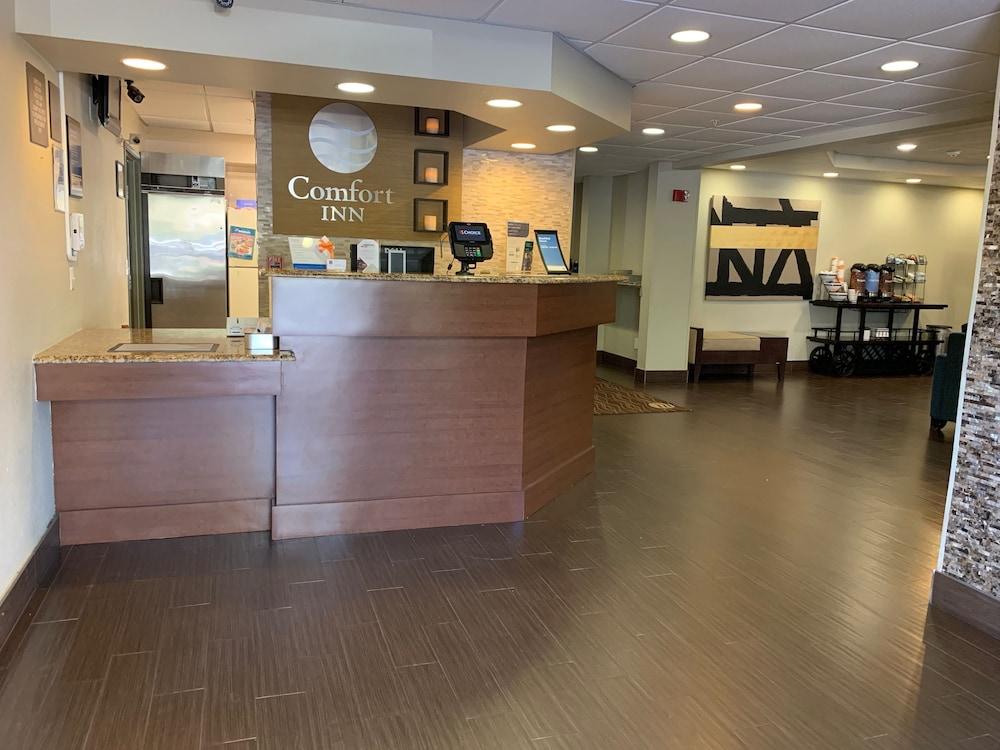 Comfort Inn Fort Myers Northeast Bagian luar foto